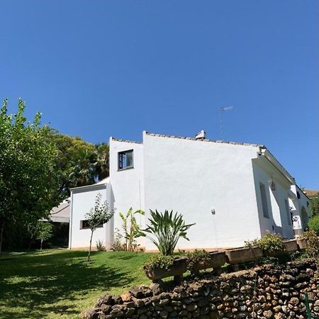 Chalet Con Vistas A Sevilla Gelves Kültér fotó